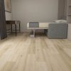 CFSPC-002-Scene