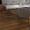 CFSPC-006-Scene2