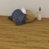 CFSPC-030-Scene