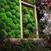 giardini-verticali-flat-ball-moss2