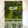 giardini-verticali-jungle-essential1