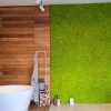giardini-verticali-lichene-premium-blend3
