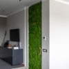 pareti-verde-stabilizzato (31)