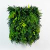 pannello-fern-wall-green1
