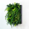 pannello-fern-wall-green2