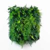 pannello-fern-wall-neutral1
