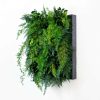 pannello-fern-wall-neutral2