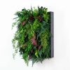 pannello-fern-wall-ruby1