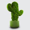 Cactus2-centrufficio